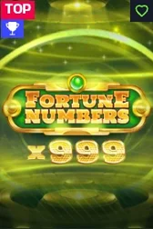 Fortune Numbers x999